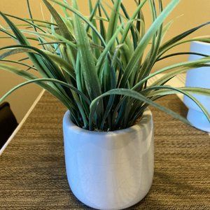 Artificial Plant Home Decor PierOne Imports